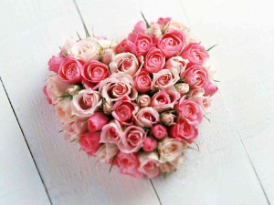 valentines-day-pink-roses2
