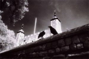 tower-london-haunted