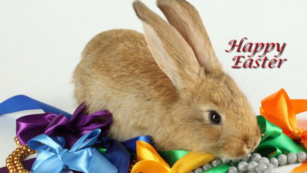 Happy-Easter-Bunny-Images-Background-HD-Wallpaper