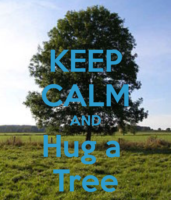 10 Awesome Inspiring Happy Love a Tree Day 2014 Images, Greetings
