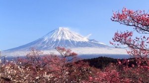 Mount Fuji