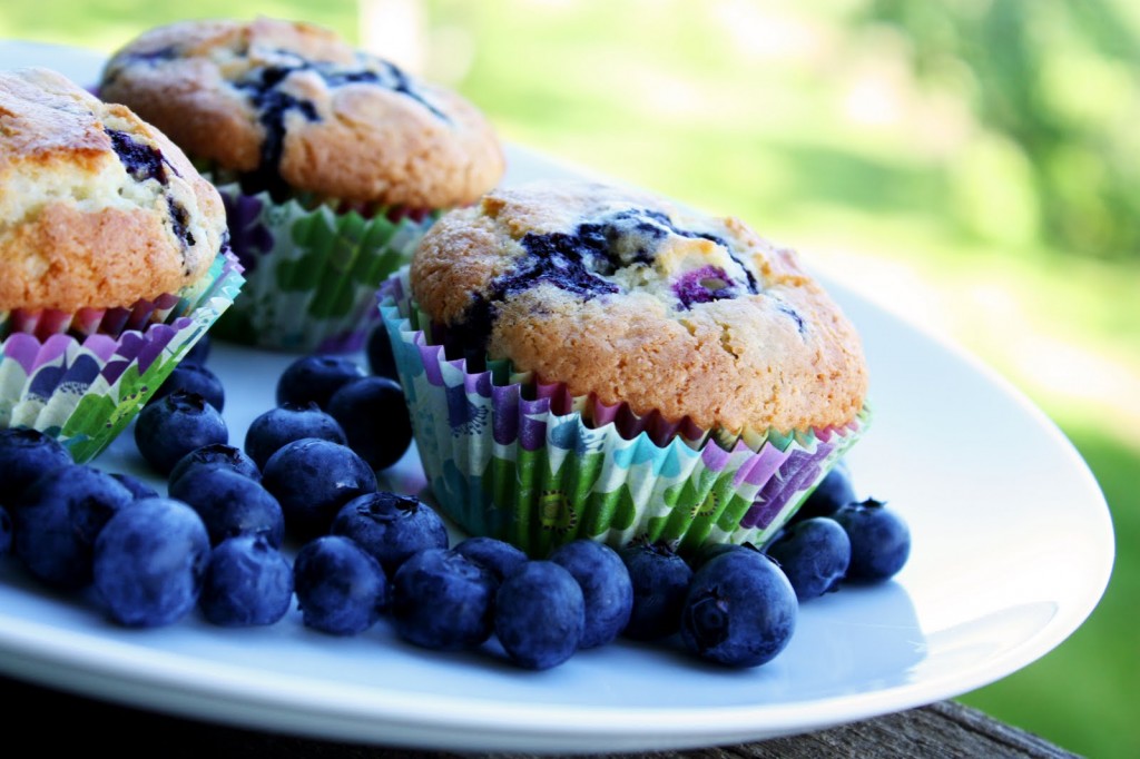 blueberry-muffins