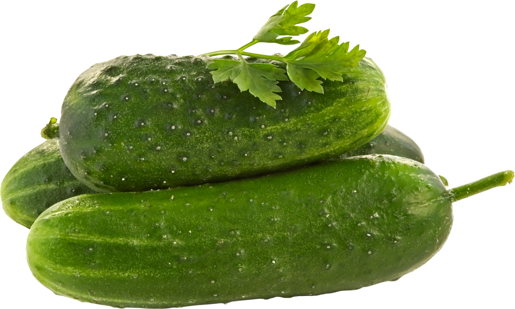 cucumber