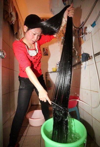 joke-funny-photo-How-to-wash-your-hair-properly