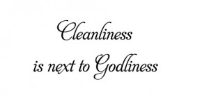 Cleanliness Quotes  (3)