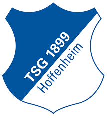 5 Must Know Facts on TSG Hoffenhiem