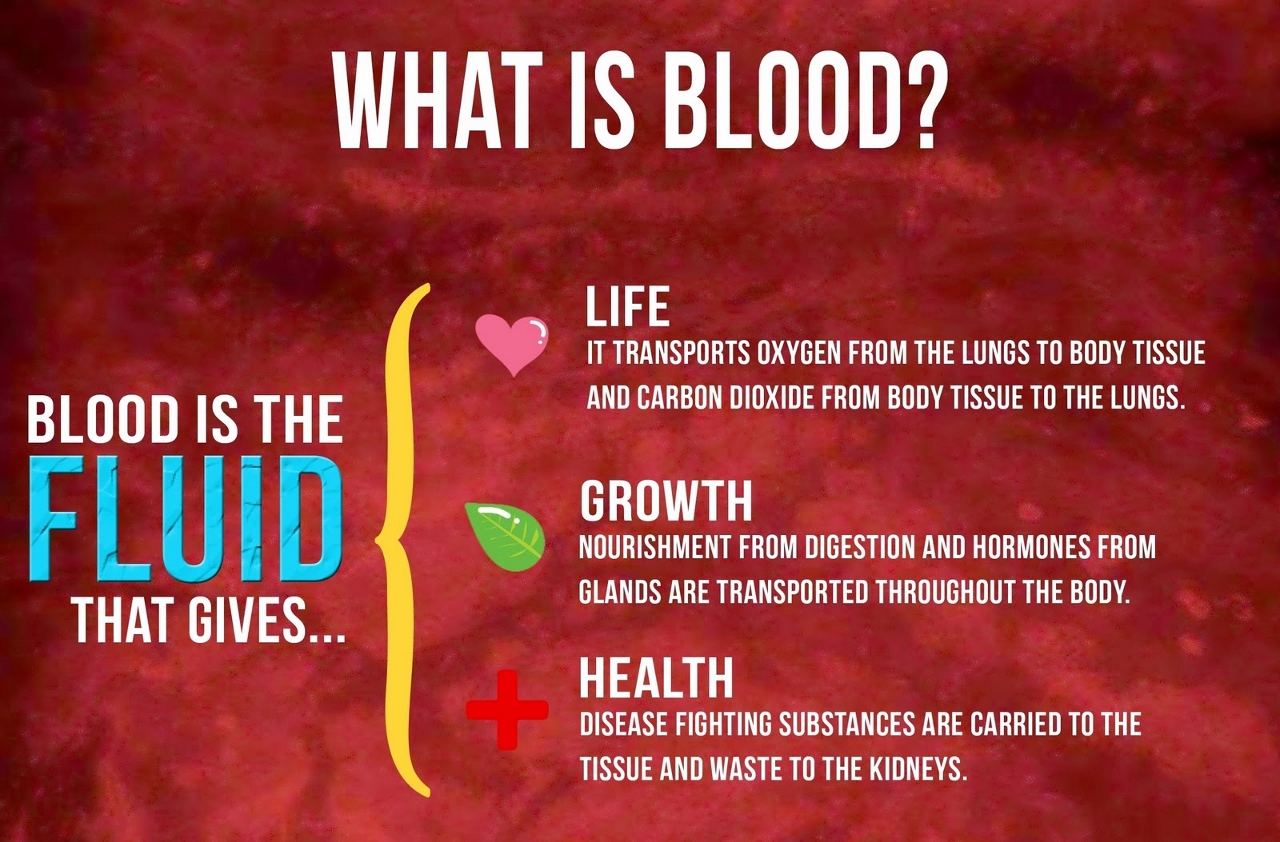 blood donation quotes